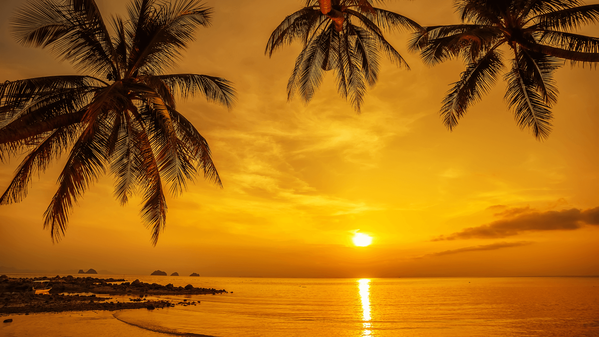 Desfrute do melhor sunset de Florianópolis no Feeling Lounge. Ambiente sofisticado, gastronomia de excelência e vistas deslumbrantes aguardam por você.